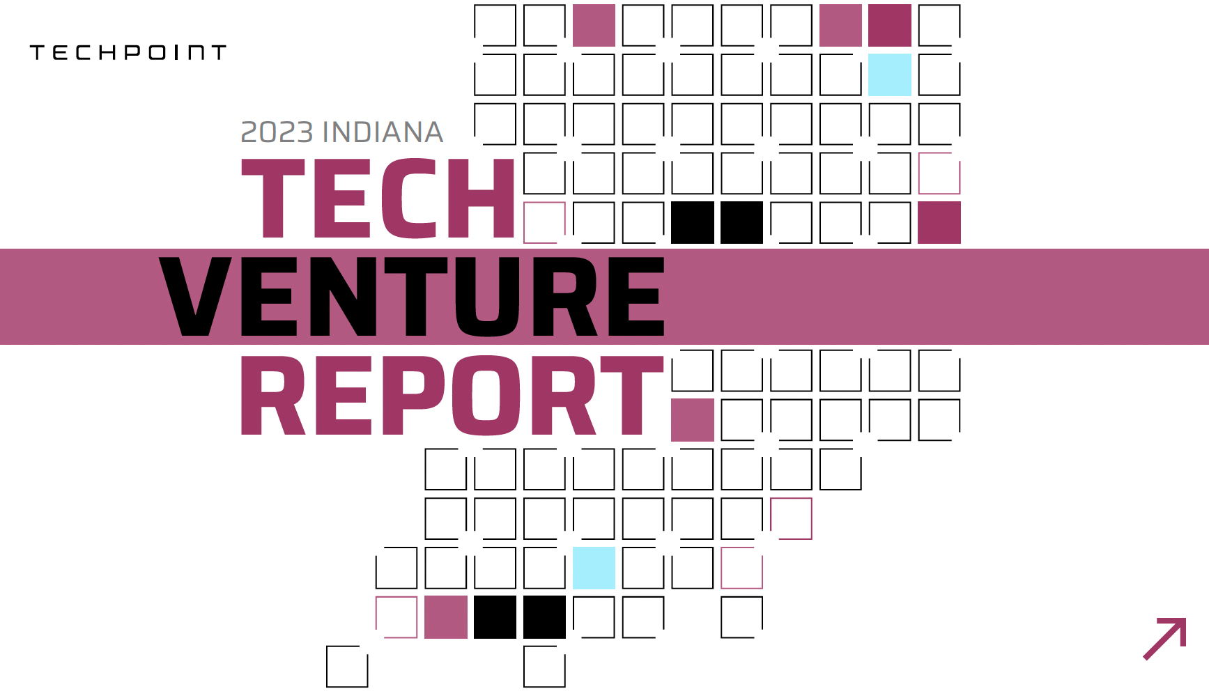 Tech Venture Report